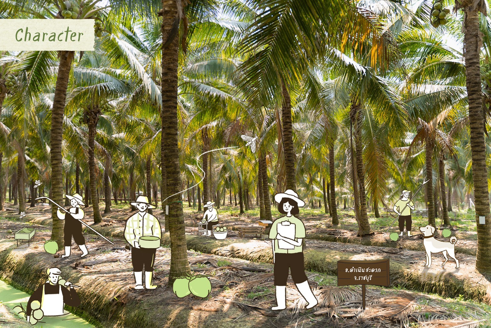 Yindee AromaticFarm 012